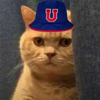 Alexander (@_ripptide) 's Twitter Profile