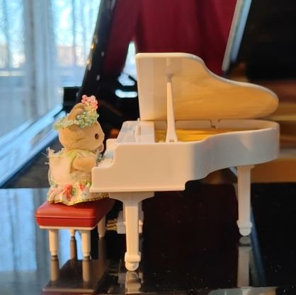 musickanon2's profile picture. 音楽教室♪カノン♪講師の岸村花音です。
ピアノ♪エレクトーン♪リトミック♪
首が据わった0才児からレッスン受付しています。
障害児大歓迎です！

この度、副業始めました😊
「プチルと花音のミニチュア工房」として、シルバニアやリカちゃん、メルちゃんのお洋服や小物等をメルカリで販売してます🎵