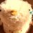 humo3373's profile image