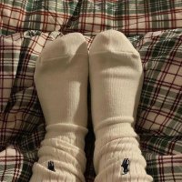 arie (@quietaccepted) 's Twitter Profile