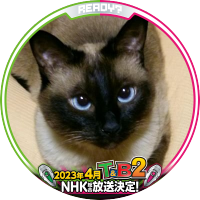 墨にゃにゃ☆シュテルン市民 (@suminya2) Twitter profile photo