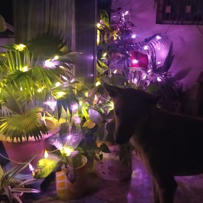 breathingOnlyy's profile picture. OTP Life.