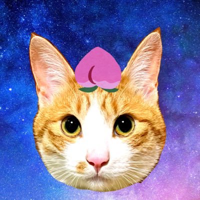 ぽこたろさんのプロフィール画像