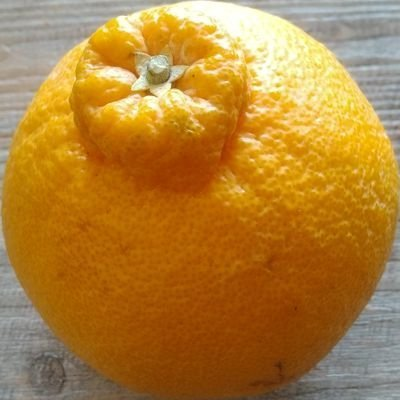 もふもふのRT + ロックマンCXの人(https://t.co/md3Mf36Xm1)
欲しいものリスト → (https://t.co/VtFFzIvQuY)