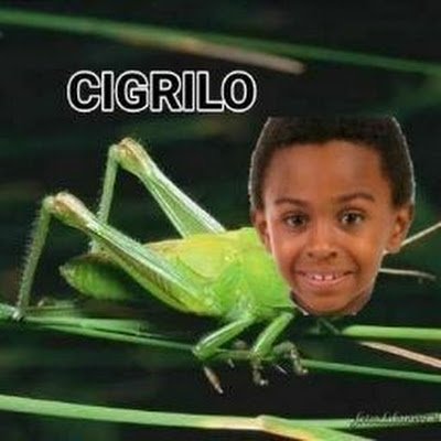 tuta6304352762's profile picture. 