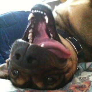 Rainz182's profile picture. easy going, love techy stuff, reddit, into most music- but mainly ROCK!, rpg/classic video games