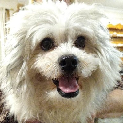 JacYeung's profile picture. 