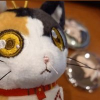 ふみ🐱エコバッグが畳めない (@yamanekofumi) 's Twitter Profile Photo ふみ🐱エコバッグが畳めない (@yamanekofumi) 's Twitter Profile Photo