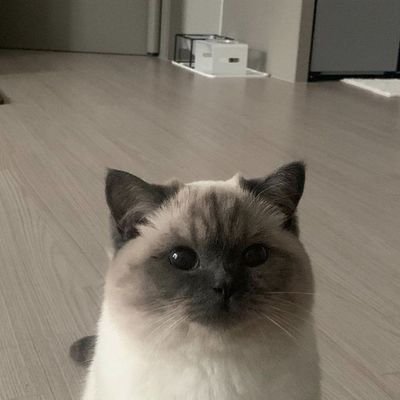 THIRAKxJK's profile picture. 