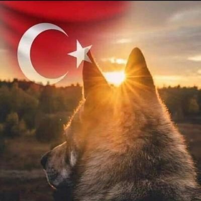 YA DEVLET BAŞA YA KUZGUN LEŞE 
🇹🇷🐺🇹🇷🐺🇹🇷🐺🇹🇷
Ana hesap @GKTRK35353535