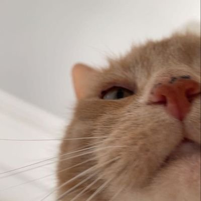 ayomaripanen's profile picture. haiiiiii