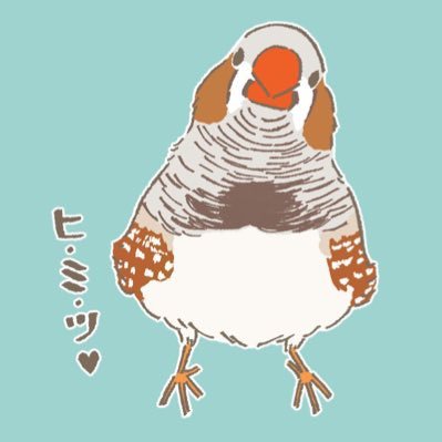 Setariaさんのプロフィール画像