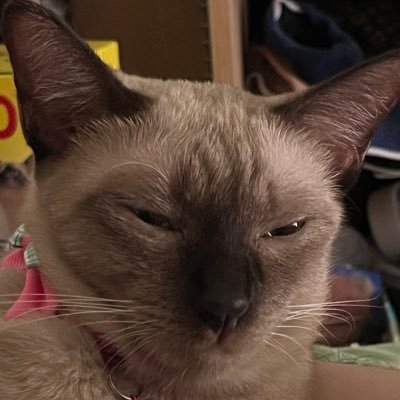 impbizkit's profile picture. I’m too broke to play Monster Hunter Wilds