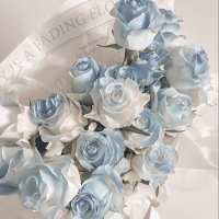 ぴちゃ (@_0ankoro0_) 's Twitter Profile