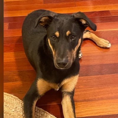 real_time___'s profile picture. 