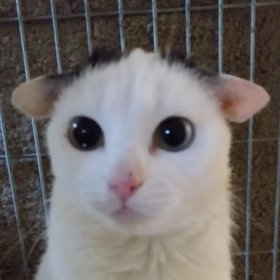 brettc55's profile picture. 