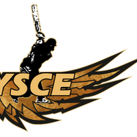 YSCE (@yscec) 's Twitter Profile