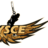 YSCEC's profile image
