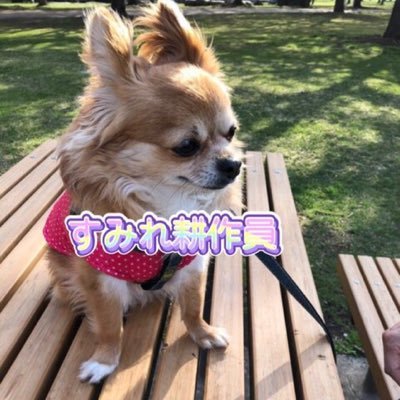 チワワ😍大好き💕飼ってます❤️ freestyleな奴です❣️楽しいこと 笑い話がたまらない。無言フォロー失礼します♪あるお方だけには心の愚痴吐き出しツィッター続けられてます❤️感謝感激大好きやで〜💑音楽映画🎬好き ♪以後お見知り起きを✌️果物🍎🍊毎日食べてる今骨折中により左右痛くD M返事できないゆ❎