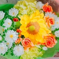 にに (@ininin_5zs6v) 's Twitter Profile Photo