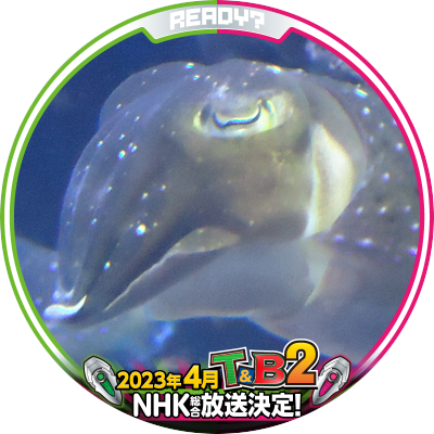 たくみさんのプロフィール画像