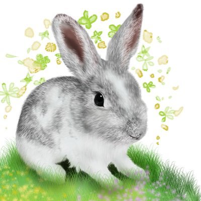 𝚖𝚎𝚛𝚒𝚖𝚊𝚔𝚔𝚊𝚛𝚊さんのプロフィール画像
