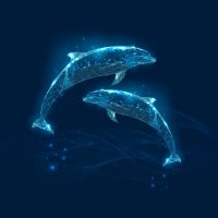 Cyber Dolphins(@cyberdolphins) 's Twitter Profile Photo