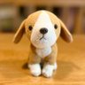7FdHpNRsg8hxbpZ's profile picture. 私立高校3年🌸 #読書垢 & #勉強垢 得意科目・国語。苦手科目・英語。 部活辞めたいけど頑張る民 好きなコト→図書館/読書/はやみねかおる/まふまふ/イラスト描き/ピアノ/小説書き/🎈フォローお気軽に🎈