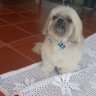 EmilseWMujica's profile picture.