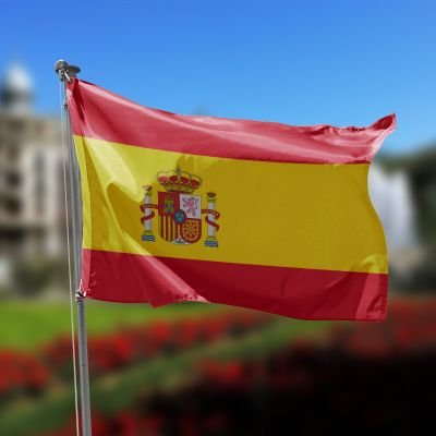 VOX es la última esperanza de España, Europa y de toda Latinoamérica. Viva España, Viva La Constitución que defiende nuestros derechos y viva toda gente buena.