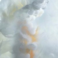 Ayane Tateba (@swantypified) 's Twitter Profile