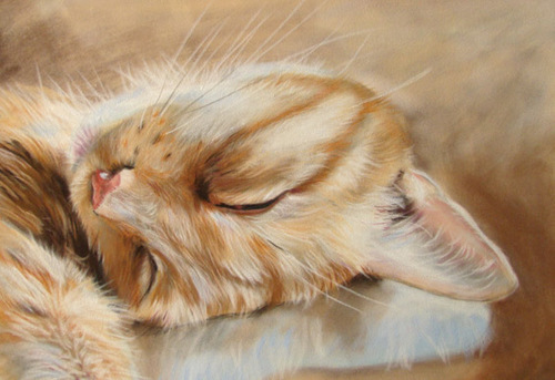 Elzina72's profile picture. Retweeten vind ik tog wel erg leuk!!