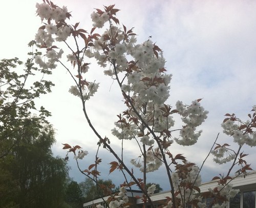 kimmwarren's profile picture. Work within the corporate investor relations world. Mum. 
Interested in communication, education and photography. Views are my own.