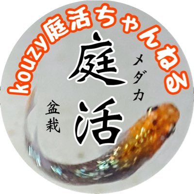 大阪のてっぺん在住 小品盆栽と魚釣り が好きな元釣具屋、現在は庭師です！ 釣り 盆栽 キャンプ 庭活 めだか☆★YouTube開設しました！ チャンネル登録お願いしまーす