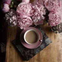 Terry Sackett ☮️🍂🍎🍁🦊🐦⬛ (@terry_sackett) 's Twitter Profile
