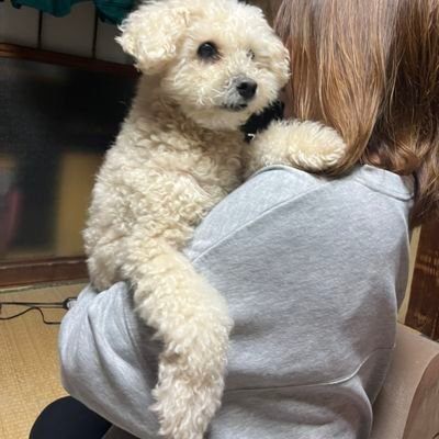 aneaaaaaaai's profile picture. 