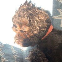 LFT Lore (@lore_ddd) 's Twitter Profile
