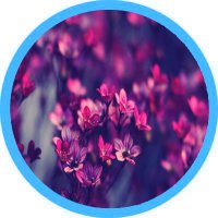 تفسير الأحلام (@tfsyrllm1) 's Twitter Profile