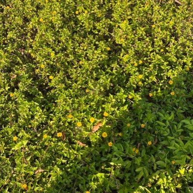 PkkTttttttt's profile picture. 🍑⭐️🌷