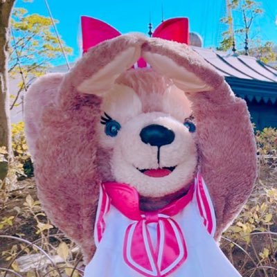 しろねこさんのプロフィール画像