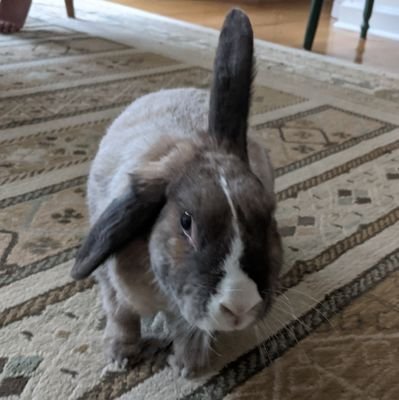 alanacanfield's profile picture. Just an amorphous blob floating around in the universe.