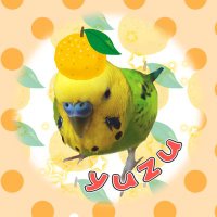 ゆずゆり (@yuzuyuri92) 's Twitter Profile Photo ゆずゆり (@yuzuyuri92) 's Twitter Profile Photo
