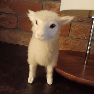 kafeorekunn's profile picture. ひっそりと生きてます