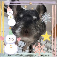 アムールゥ (@gotopmm) 's Twitter Profile