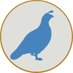 Blue Quail Sound (@bluequailsound) Twitter profile photo Blue Quail Sound (@bluequailsound) Twitter profile photo