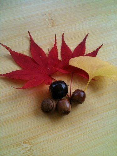 fuso1848's profile picture. 