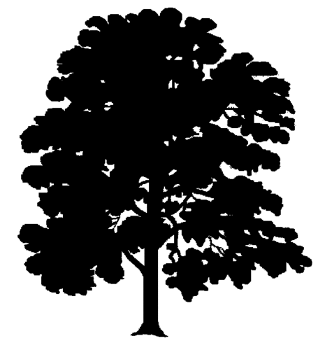 AshteadVillage's profile picture. The Association aims to represent the views of all who live in Ashtead.  

The Association is independent of all political parties.