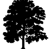 Ashtead Residents (@ashteadvillage) 's Twitter Profile