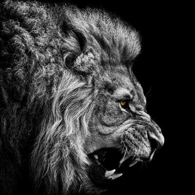 nrg2ost's profile picture. 