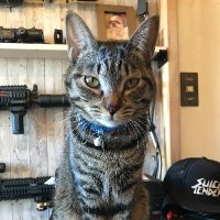 TAKA-C4 (@takacjjc) 's Twitter Profile